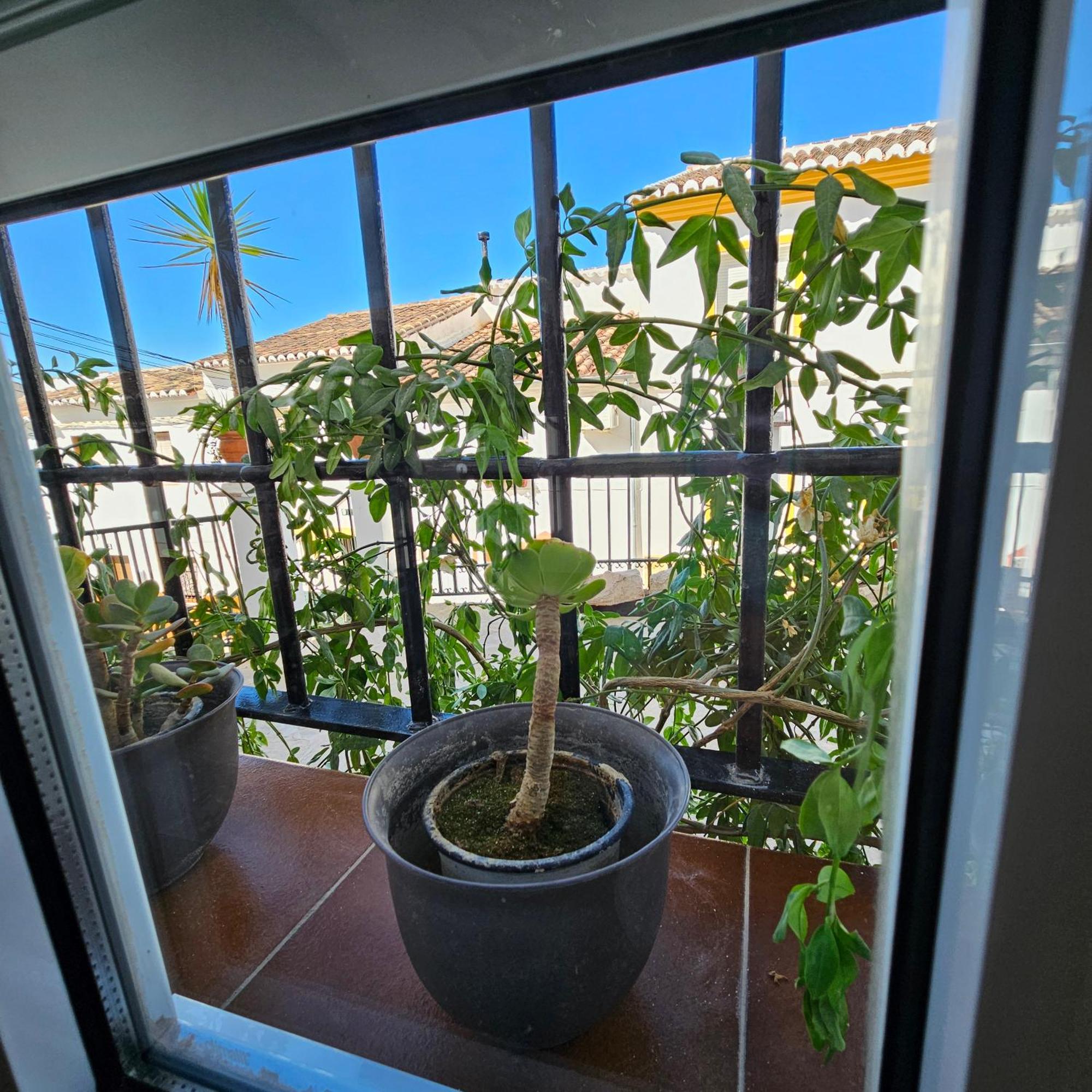 Casa Don Diego